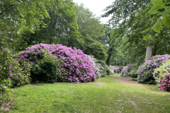 1-Natur-Hanne