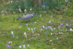 12-Natur-Bjarne-2