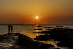13-Natur-Jesper-T