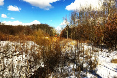 3-Natur-Flemming