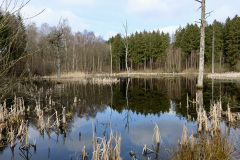 4-Natur-John